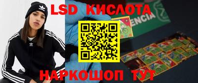 Альфа ПВП Камышлов