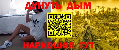Альфа ПВП Камышлов