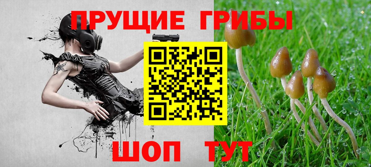 Псилоцибиновые грибы MAGIC MUSHROOMS  Галлюциногенные грибы MAGIC MUSHROOMS  купить   Кузнецк  Вход с VPN 